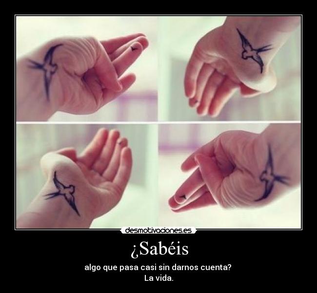 ¿Sabéis - algo que pasa casi sin darnos cuenta? 
La vida.