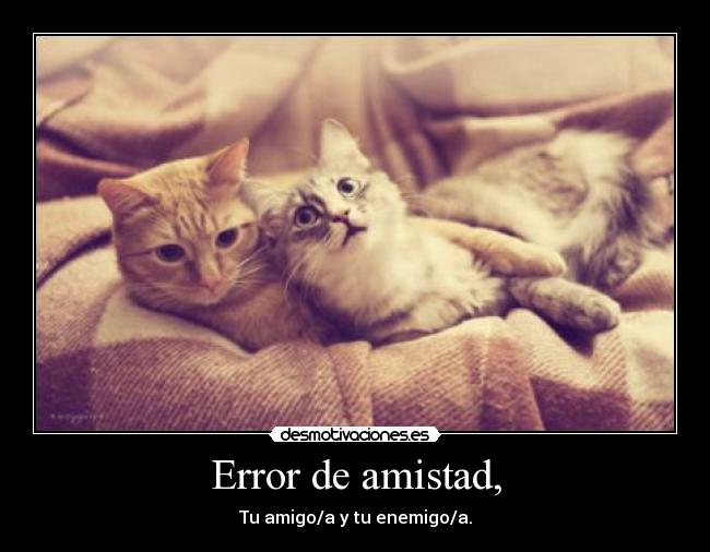 Error de amistad, - Tu amigo/a y tu enemigo/a.