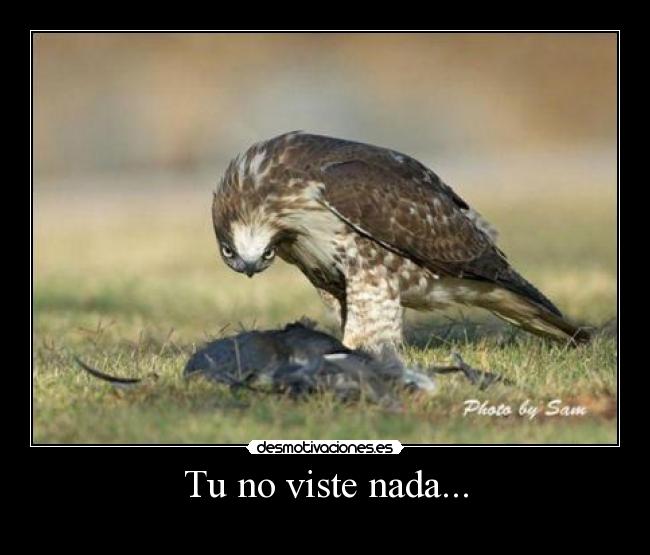 Tu no viste nada... -