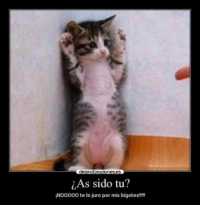 ¿As sido tu? - ¡NOOOOO te lo juro por mis bigotes!!!!!