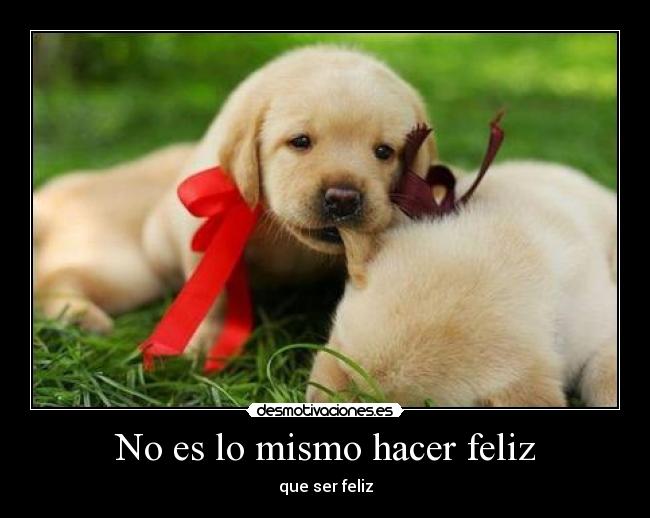 No es lo mismo hacer feliz -