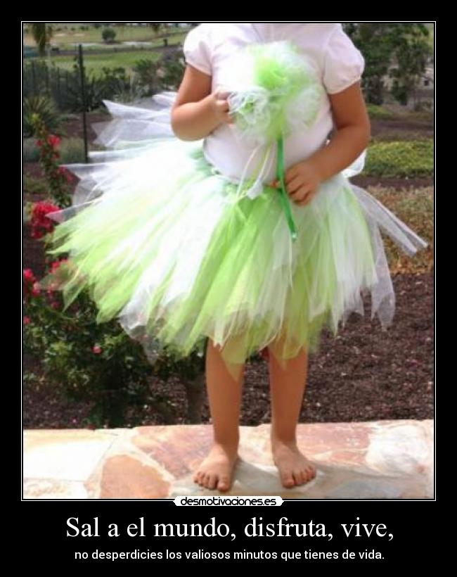 Sal a el mundo, disfruta, vive, - no desperdicies los valiosos minutos que tienes de vida.