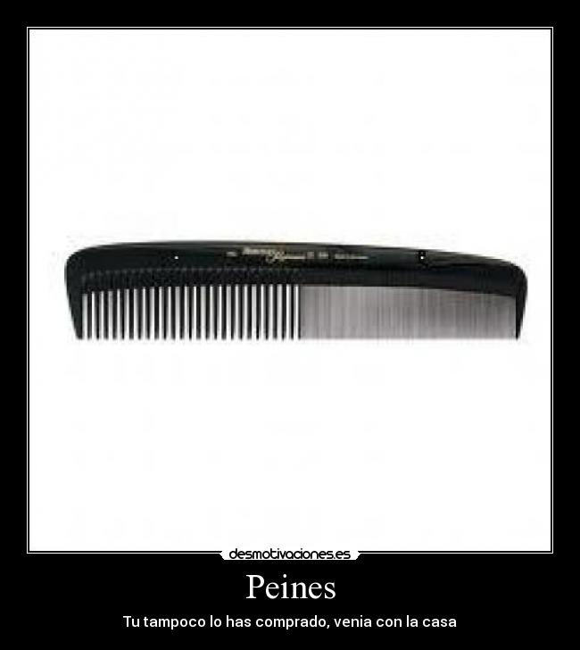 Peines - Tu tampoco lo has comprado, venia con la casa