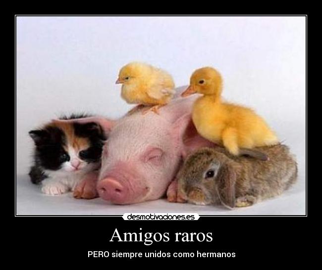 carteles amigos victornex desmotivaciones