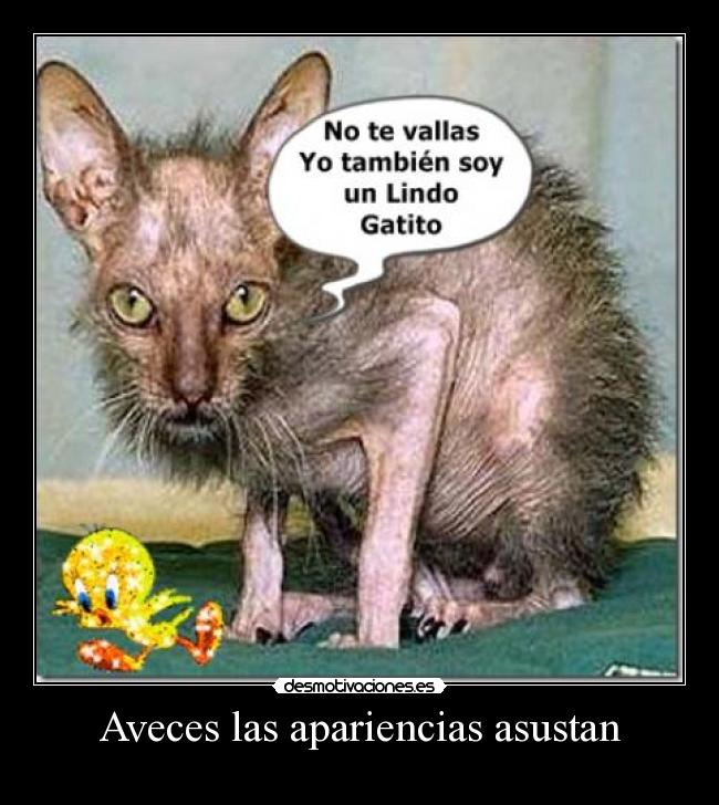 Aveces las apariencias asustan - 