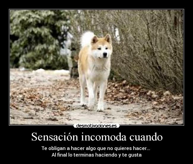 Sensación incomoda cuando - Te obligan a hacer algo que no quieres hacer... 
Al final lo terminas haciendo y te gusta