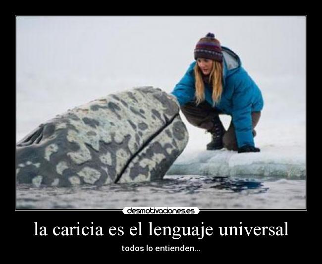 la caricia es el lenguaje universal - todos lo entienden...
