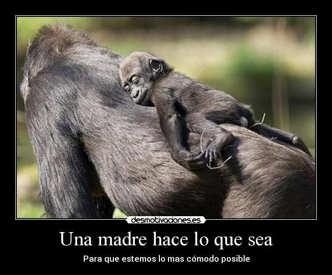 Una madre hace lo que sea - Para que estemos lo mas cómodo posible