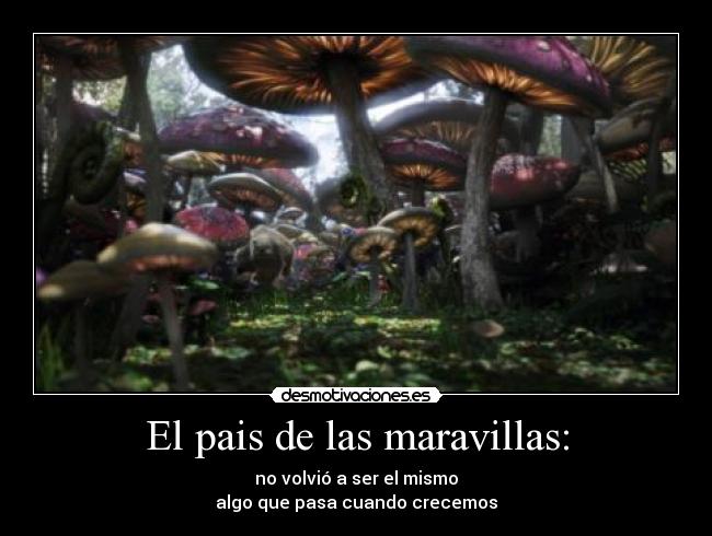 El pais de las maravillas: - no volvió a ser el mismo
algo que pasa cuando crecemos
