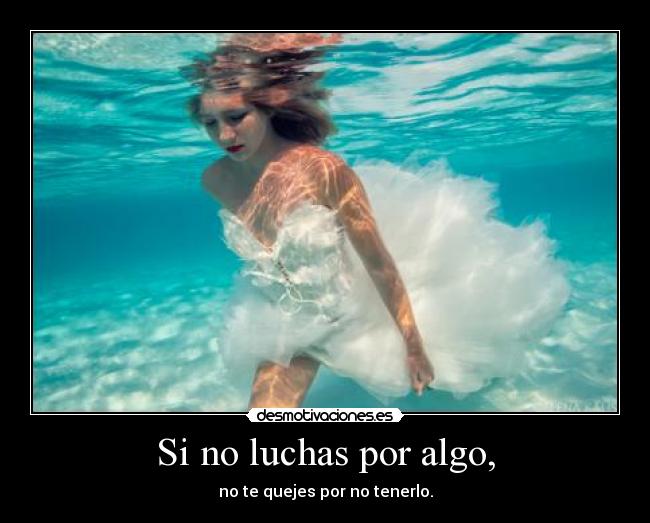 Si no luchas por algo, - no te quejes por no tenerlo.