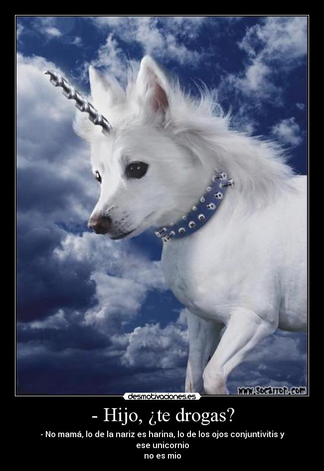 - Hijo, ¿te drogas? - - No mamá, lo de la nariz es harina, lo de los ojos conjuntivitis y ese unicornio
no es mio