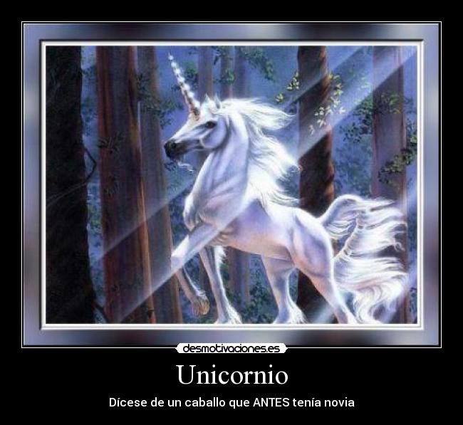 Unicornio -
