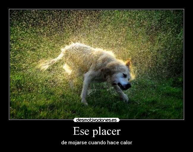 Ese placer -