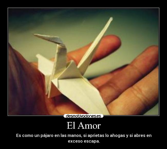 El Amor -