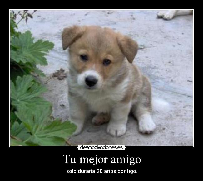 carteles marcoherrera desmotivaciones