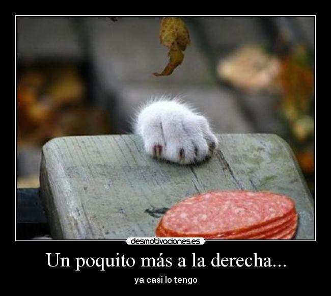 Un poquito más a la derecha... - ya casi lo tengo