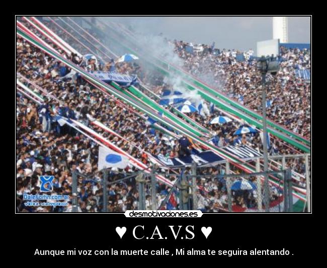 ♥ C.A.V.S ♥ -