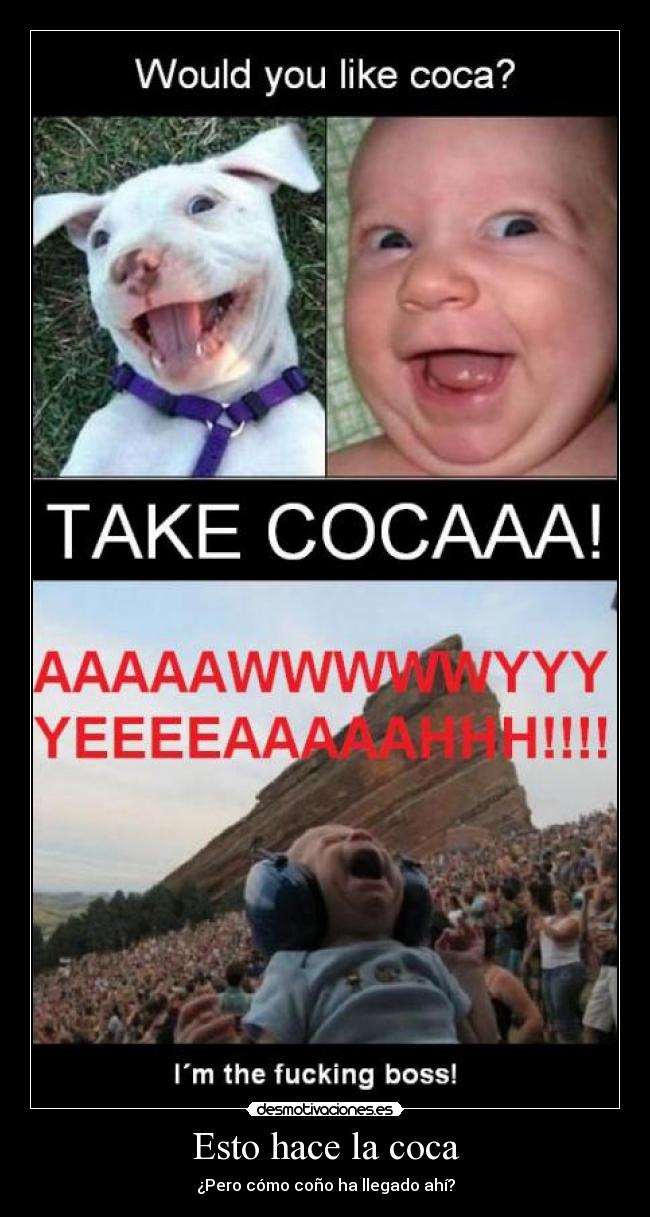 carteles coca sus efectos desmotivaciones