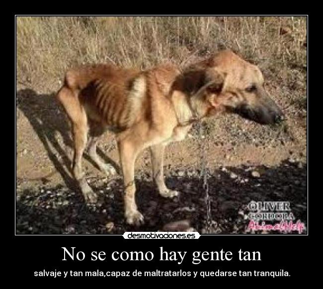 No se como hay gente tan - 