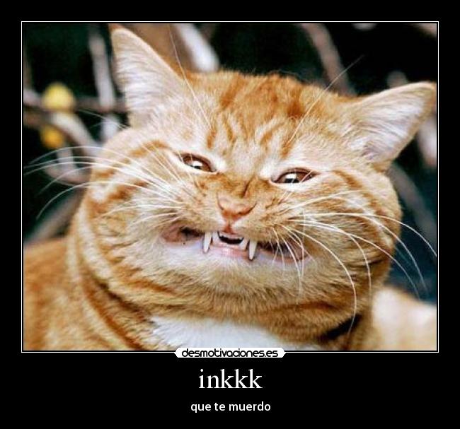 inkkk - que te muerdo
