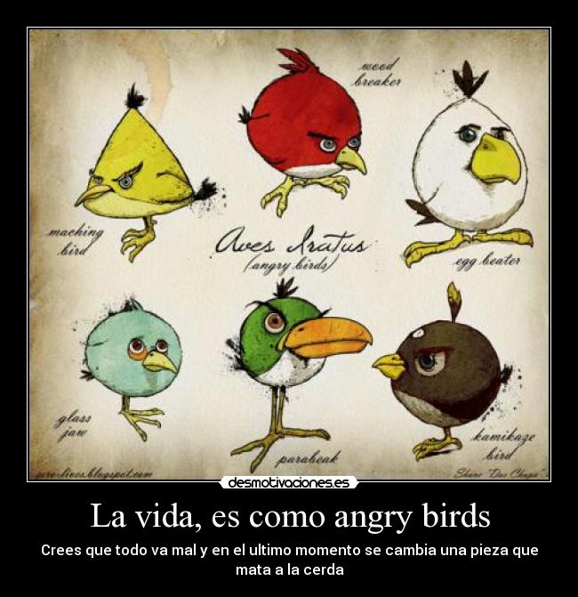 La vida, es como angry birds - 