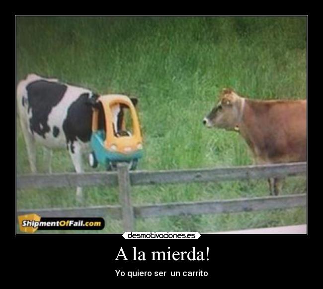 carteles mierda desmotivaciones