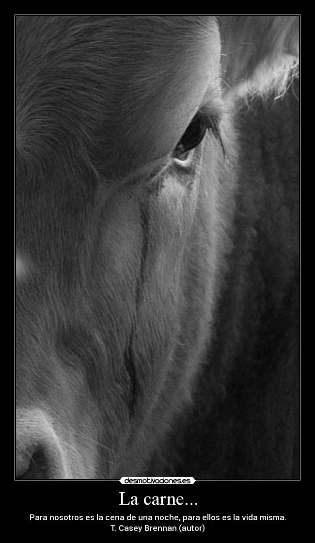 La carne... - Para nosotros es la cena de una noche, para ellos es la vida misma.
T. Casey Brennan (autor)