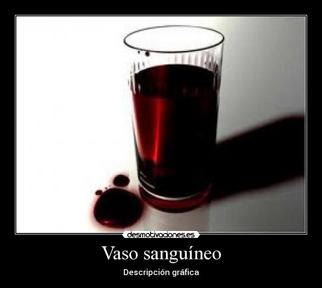 Vaso sanguíneo - Descripción gráfica