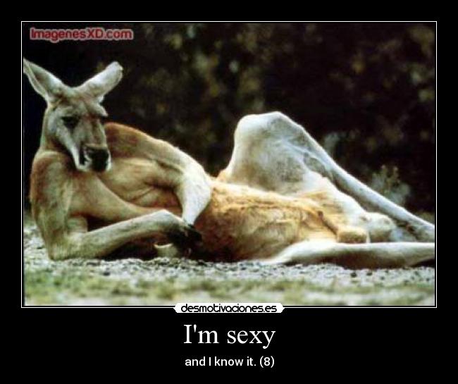 Im sexy - and I know it. (8)