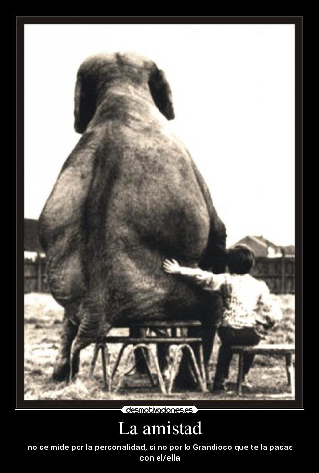carteles amistad una amistad muy bonita nino con elefante que importa nada solo que des cuenta desmotivaciones