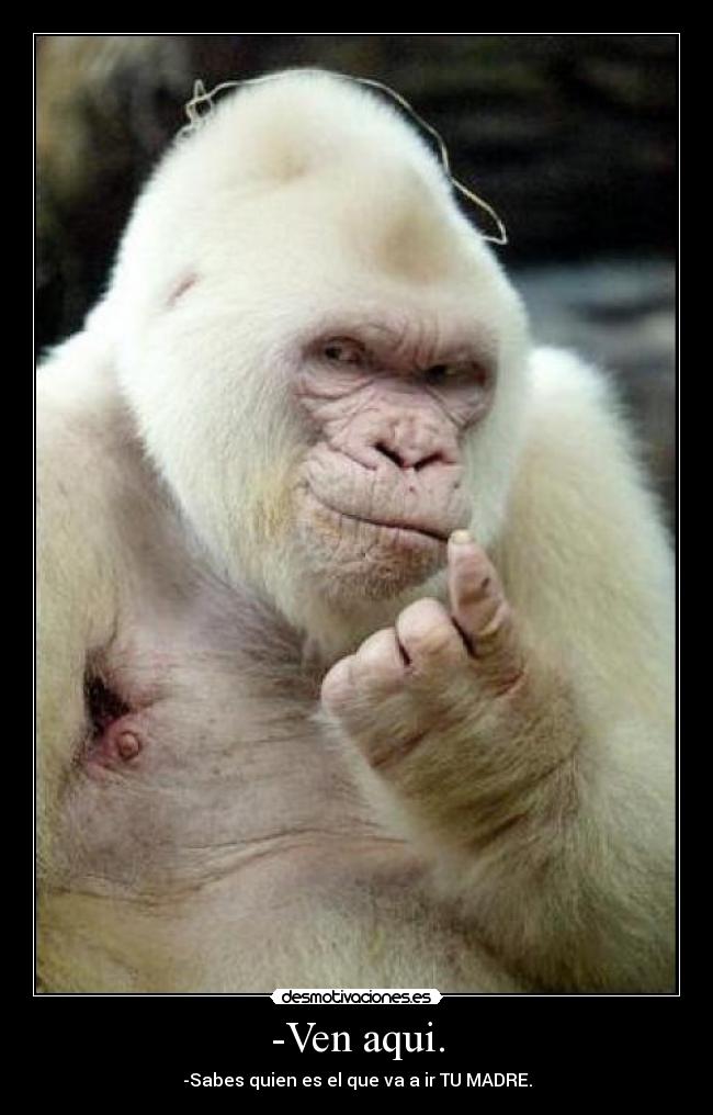 -Ven aqui. -