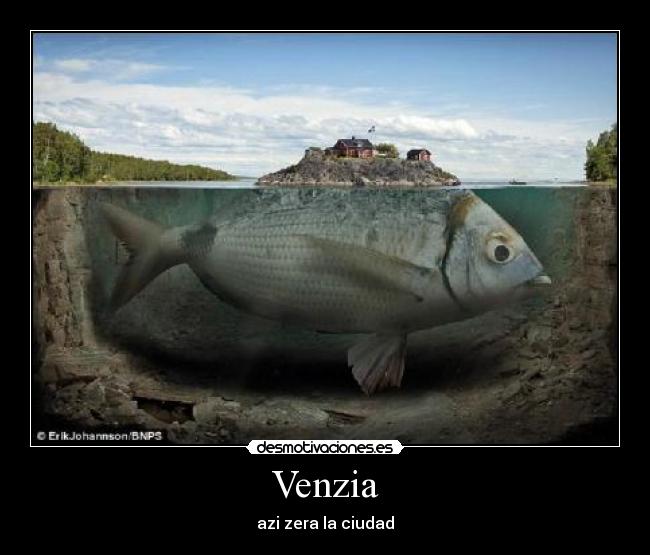 Venzia - azi zera la ciudad