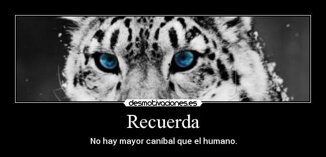 Recuerda - No hay mayor caníbal que el humano.