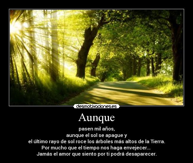 Aunque - pasen mil años,
aunque el sol se apague y
el último rayo de sol roce los árboles más altos de la Tierra.
Por mucho que el tiempo nos haga envejecer...
Jamás el amor que siento por ti podrá desaparecer.