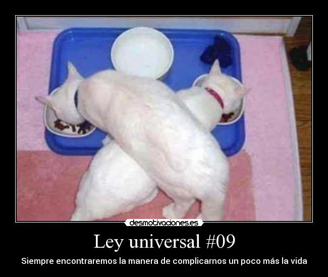 Ley universal #09 - Siempre encontraremos la manera de complicarnos un poco más la vida