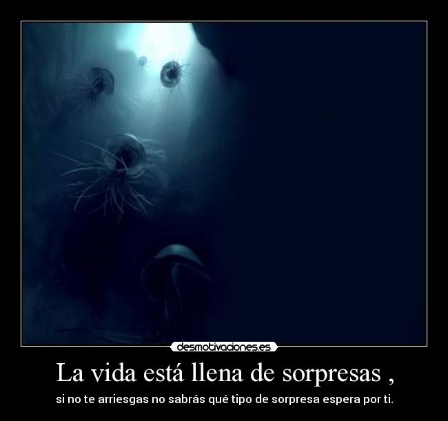 La vida está llena de sorpresas , - si no te arriesgas no sabrás qué tipo de sorpresa espera por ti.