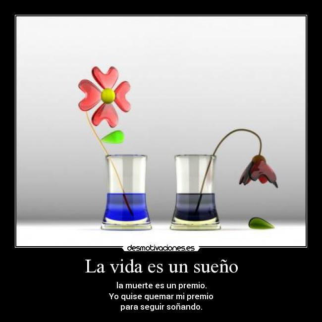 La vida es un sueño - la muerte es un premio.
Yo quise quemar mi premio
para seguir soñando.