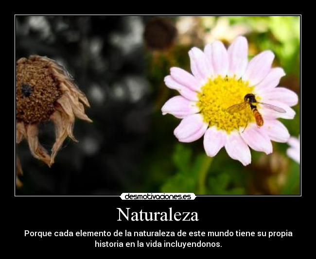 carteles naturaleza historia vida desmotivaciones