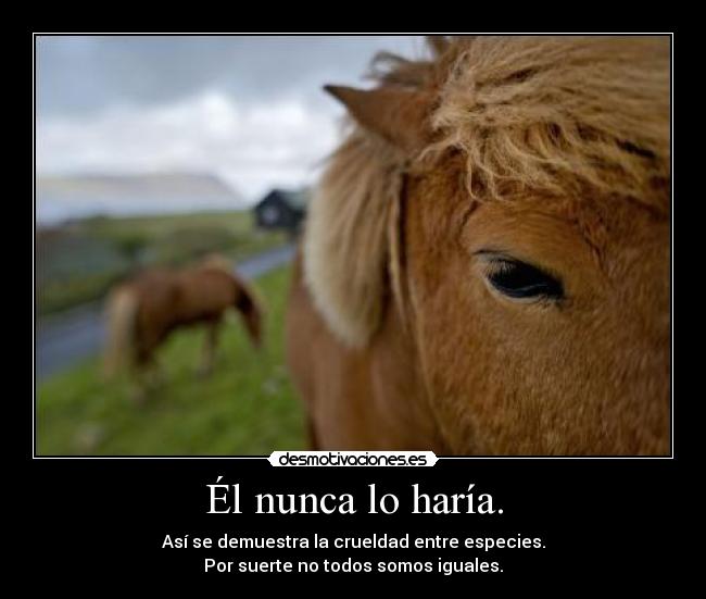 Él nunca lo haría. - Así se demuestra la crueldad entre especies.
Por suerte no todos somos iguales.