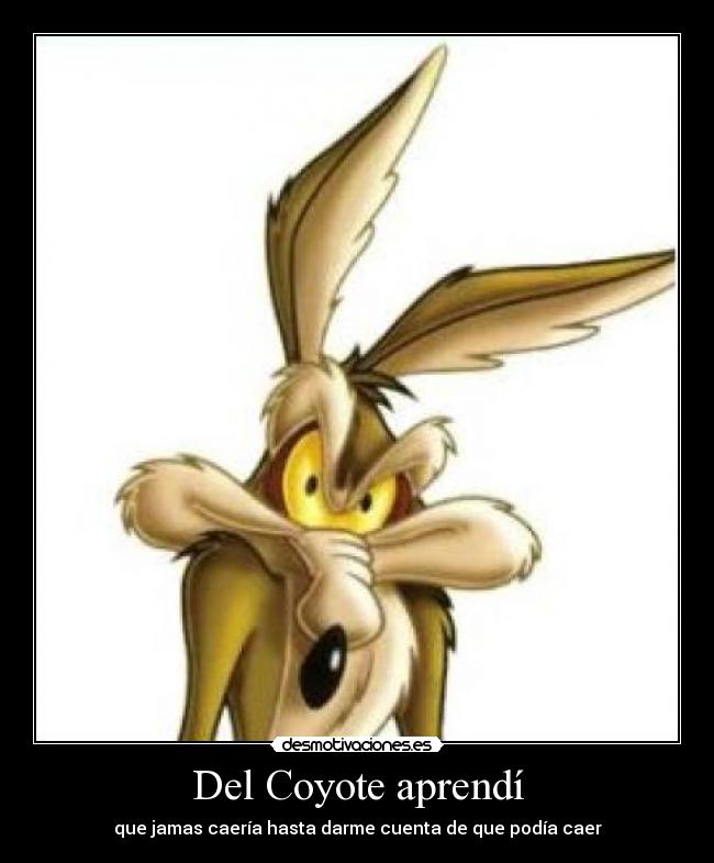 carteles coyote correcaminos desmotivaciones