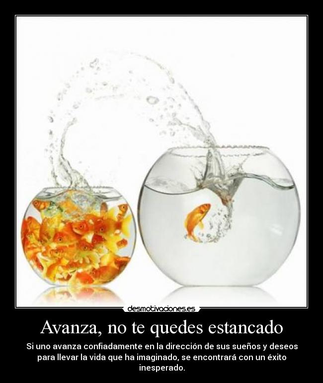 Avanza, no te quedes estancado -