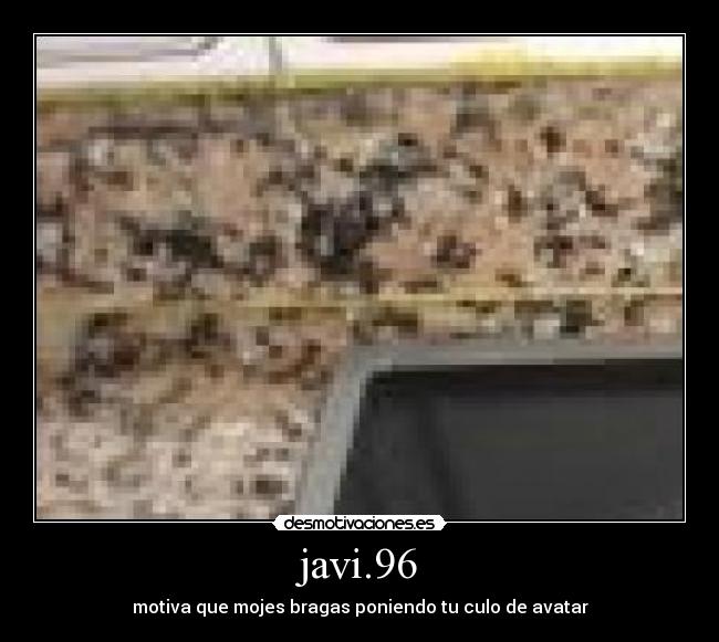 javi.96 - motiva que mojes bragas poniendo tu culo de avatar