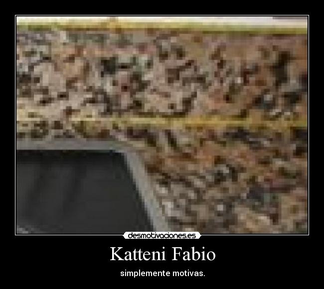 Katteni Fabio - simplemente motivas.