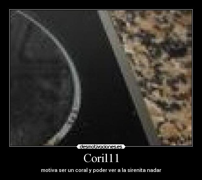 Coril11 - motiva ser un coral y poder ver a la sirenita nadar