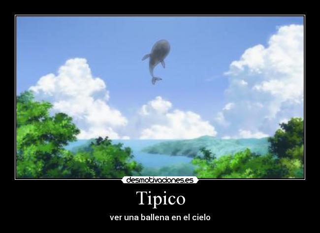 Tipico - ver una ballena en el cielo