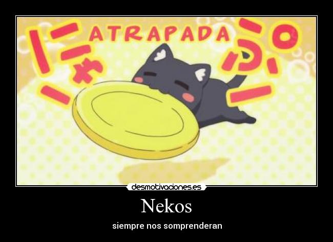 carteles anime acchi kocchi desmotivaciones