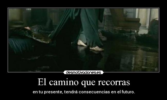 carteles voldemortmuereharrygana 12demayonocheinolvidable yoquieromimadrilenoespecial tequierotu mariacarna desmotivaciones