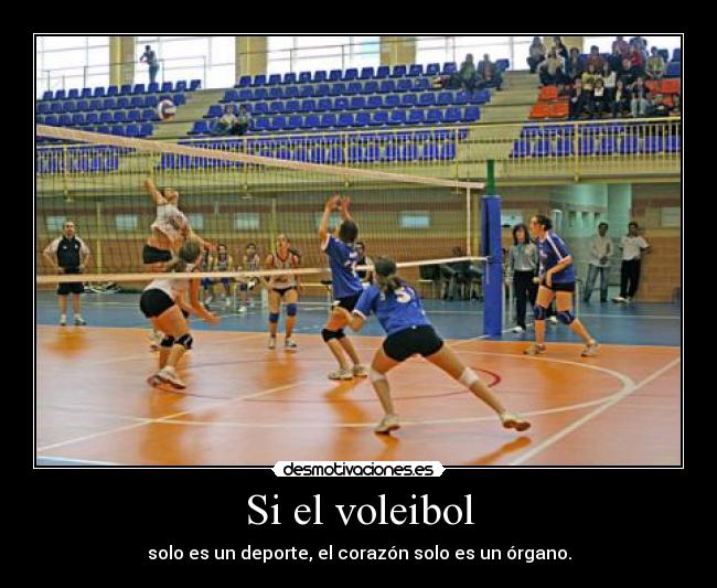 carteles anaya515 desmotivaciones