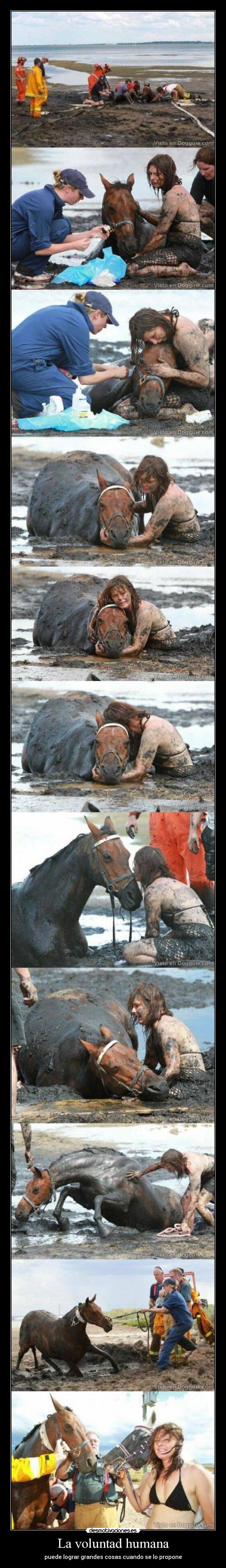 La voluntad humana - puede lograr grandes cosas cuando se lo propone