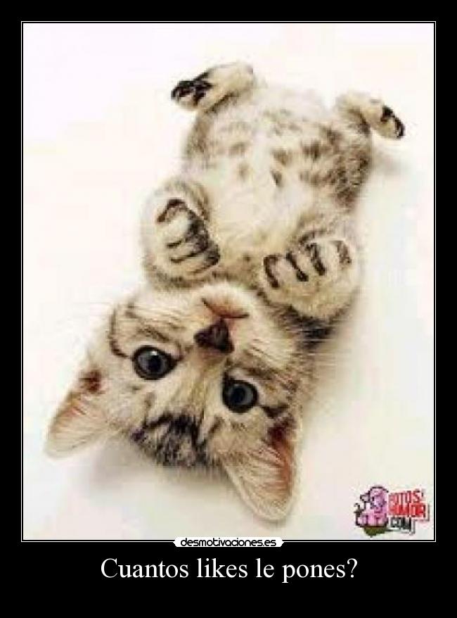 Cuantos likes le pones? -